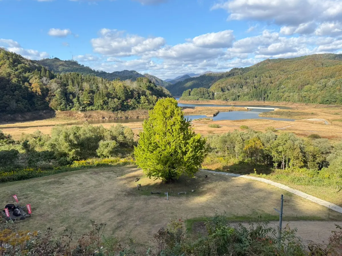 飛泉寺のイチョウと白い森おぐに湖