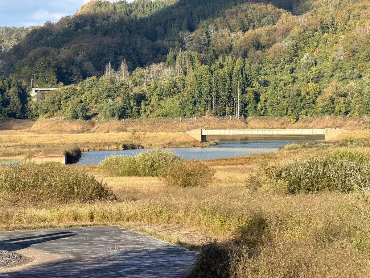 湖に沈む道路の跡
