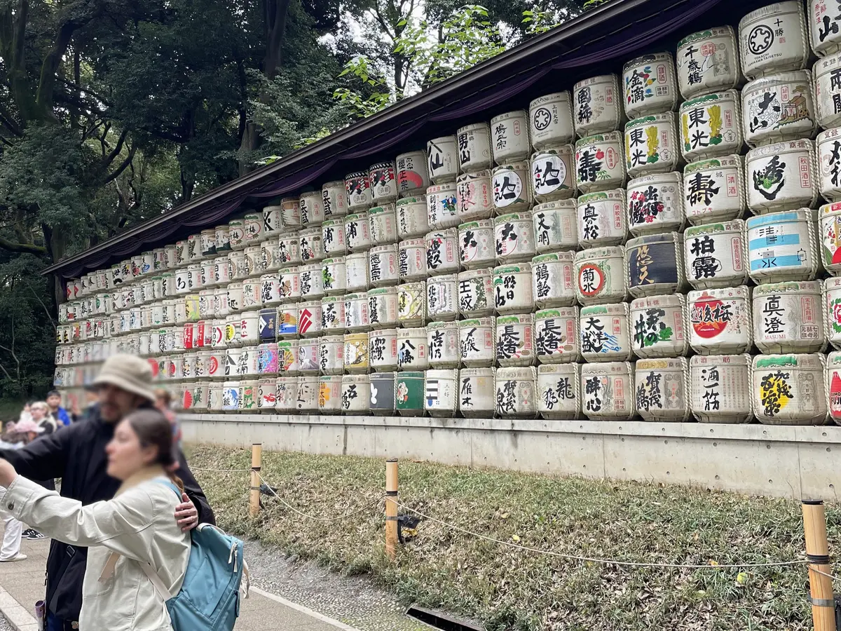 道中多くの人が足を止めて鑑賞している菰樽 = 2025年11月2日 明治神宮