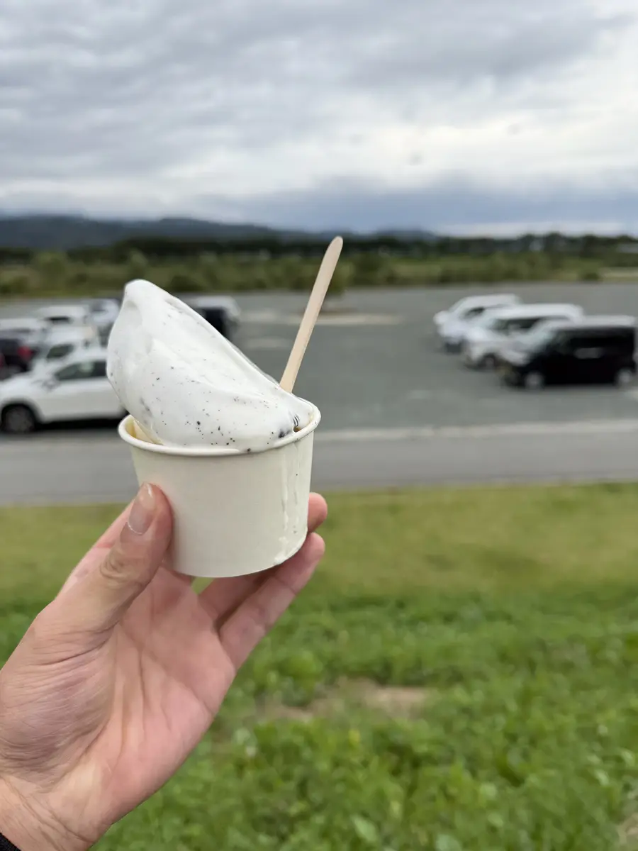 チェリーランドのジェラート (溶けるの速いよぉ💦)