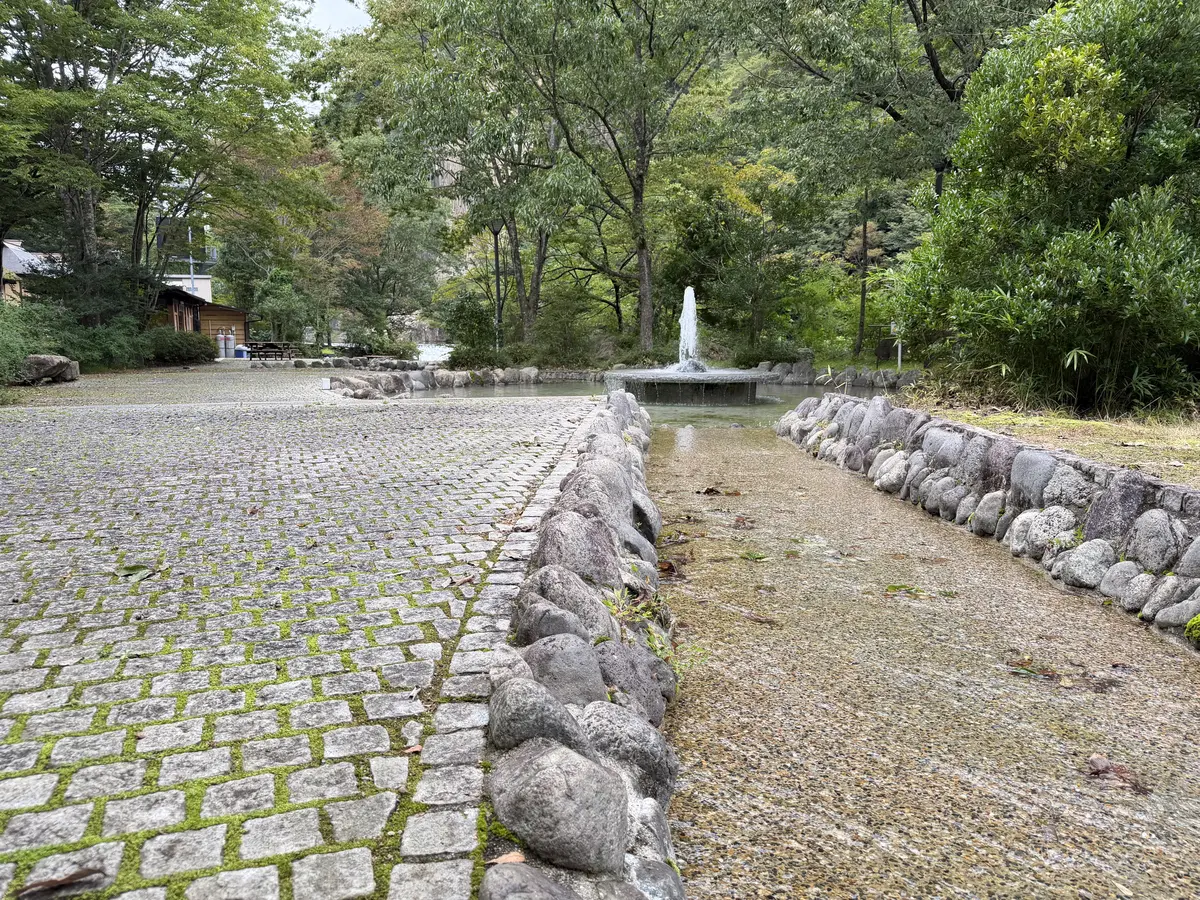 夏の避暑地にも良さそう🪿
