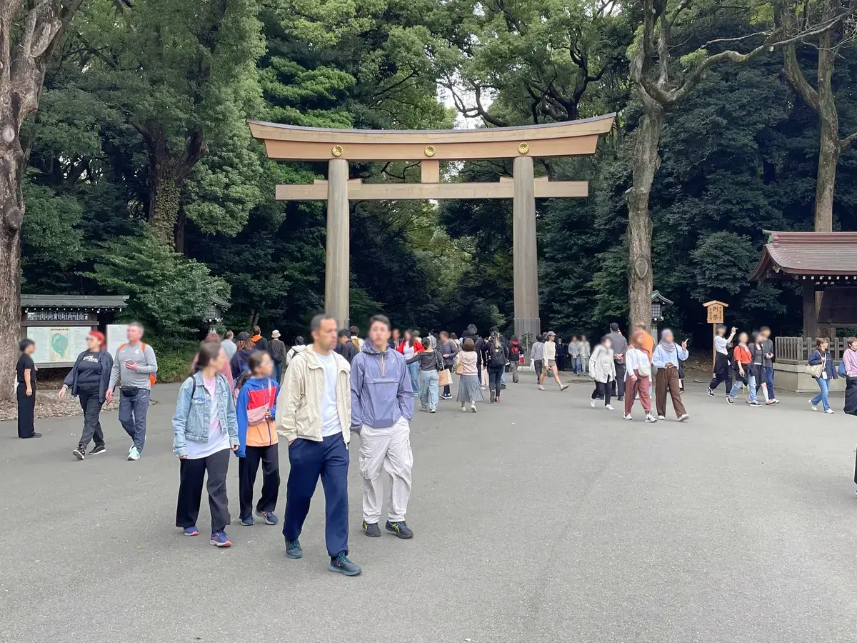 日本一の木造明神鳥居と多くの人出 = 2025年11月2日 明治神宮